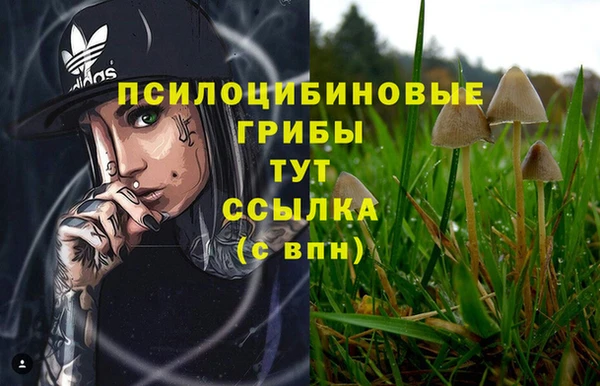 меф Алзамай