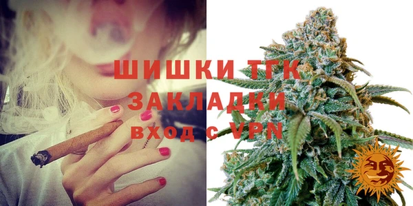 гидра Алексин