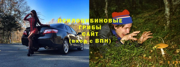 гидра Алексин